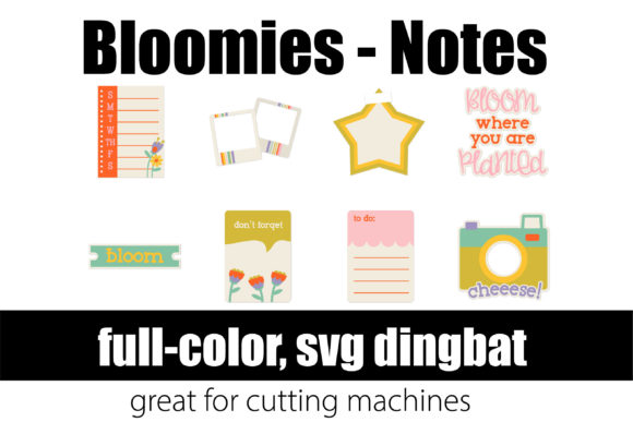 Bloomies Notes: A Designer's Review for Branding